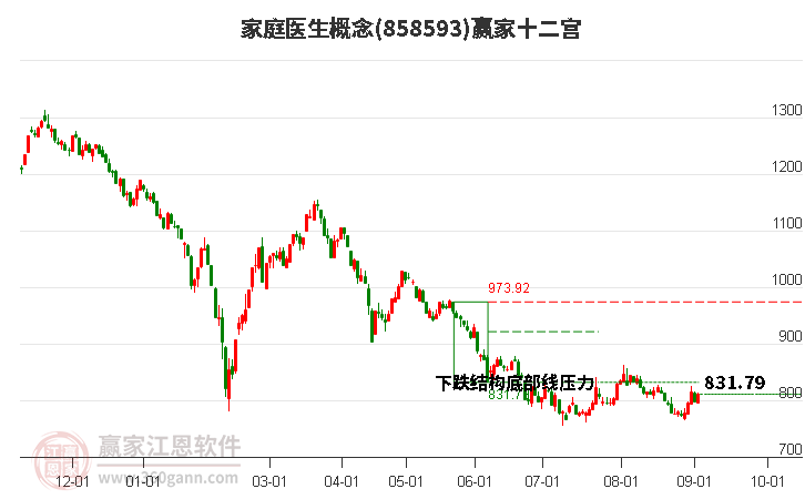 858593家庭医生赢家十二宫工具