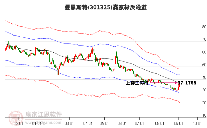 301325曼恩斯特赢家极反通道工具