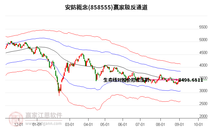 858555安防赢家极反通道工具