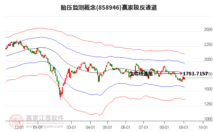 858946胎压监测赢家极反通道工具