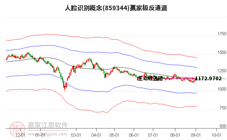 859344人脸识别赢家极反通道工具