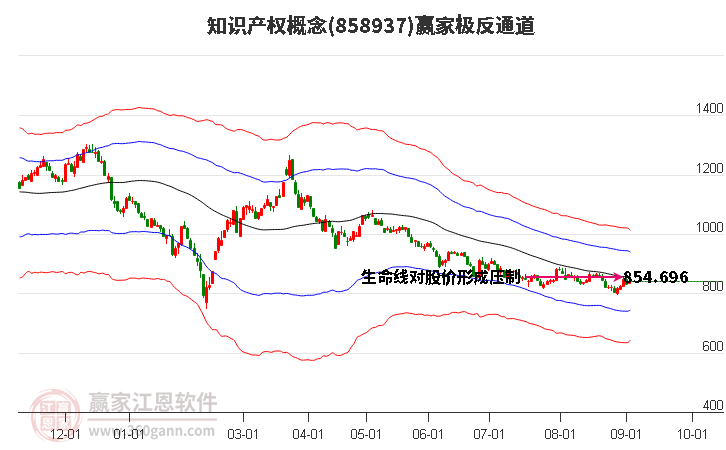 858937知识产权赢家极反通道工具