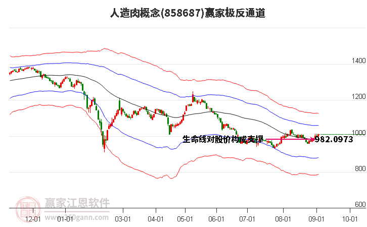 858687人造肉赢家极反通道工具