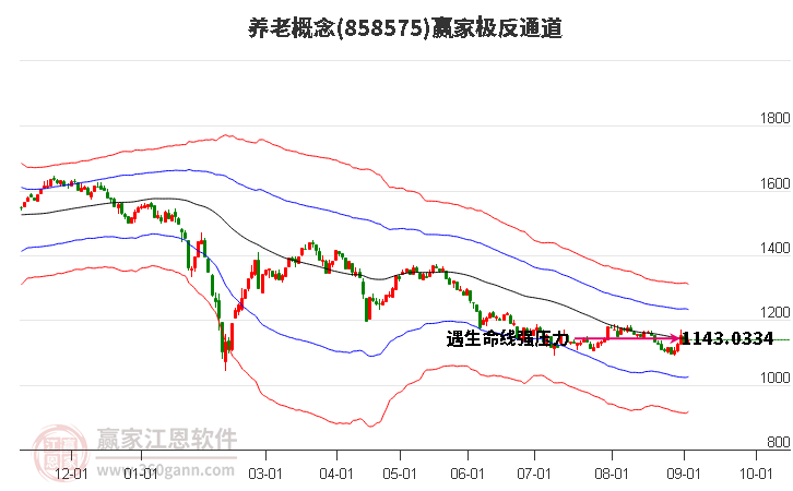 858575养老赢家极反通道工具