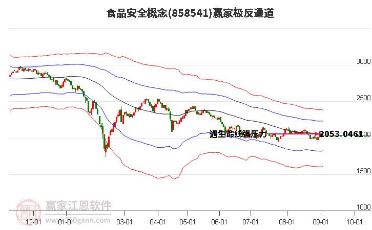 858541食品安全赢家极反通道工具