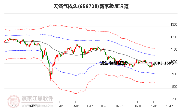 858728天然气赢家极反通道工具