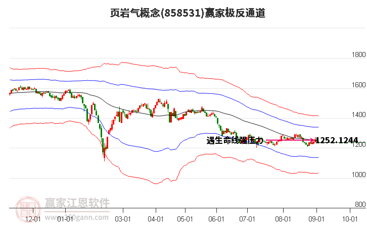 858531页岩气赢家极反通道工具