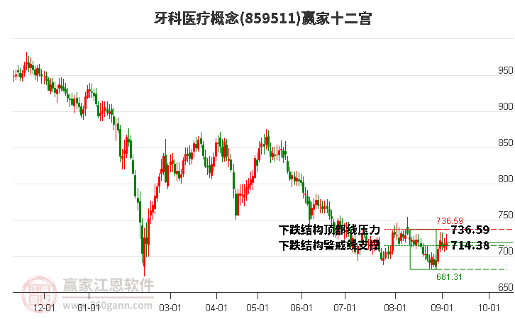 859511牙科医疗赢家十二宫工具