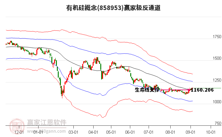 858953有机硅赢家极反通道工具