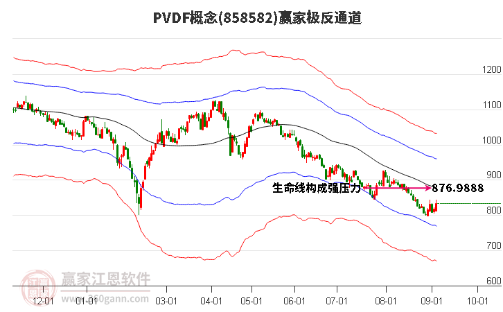 858582PVDF赢家极反通道工具