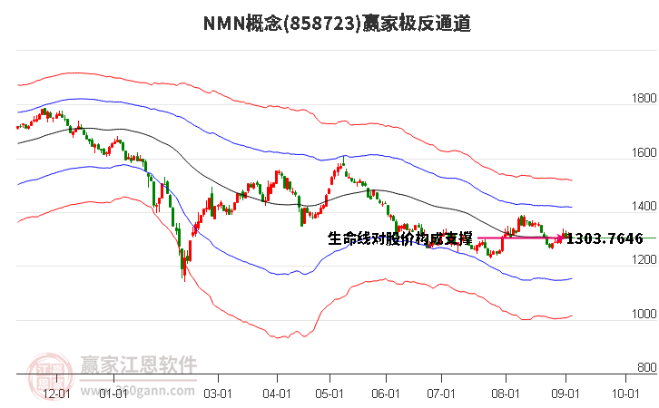 858723NMN赢家极反通道工具