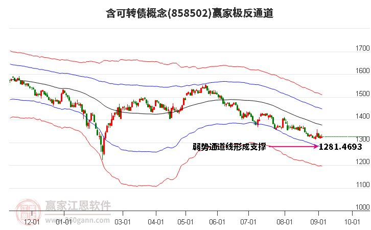 858502含可转债赢家极反通道工具