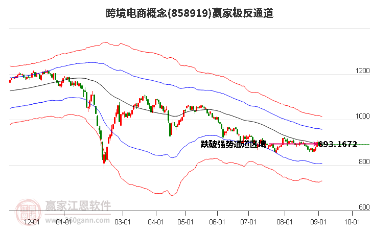 858919跨境电商赢家极反通道工具