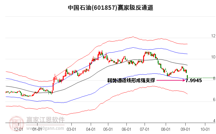 601857中国石油赢家极反通道工具