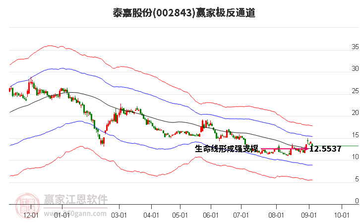 002843泰嘉股份赢家极反通道工具