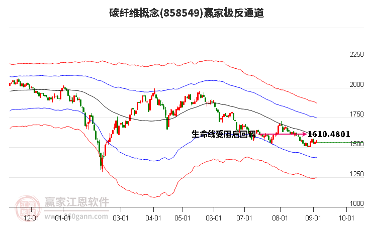 858549碳纤维赢家极反通道工具