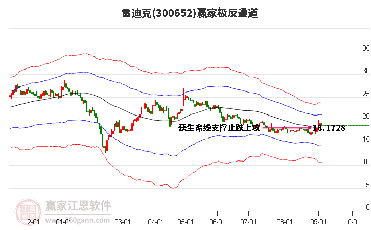 300652雷迪克贏家極反通道工具