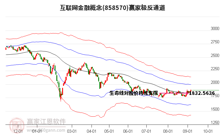 858570互联网金融赢家极反通道工具