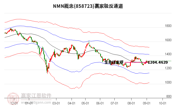 858723NMN赢家极反通道工具