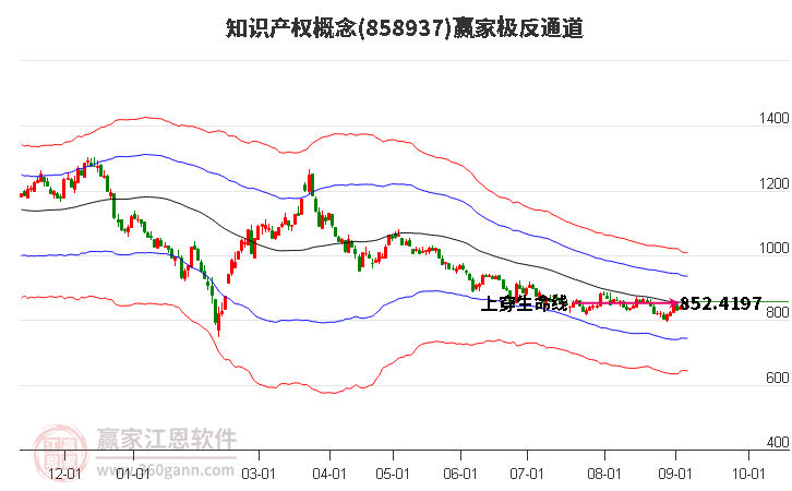 858937知识产权赢家极反通道工具