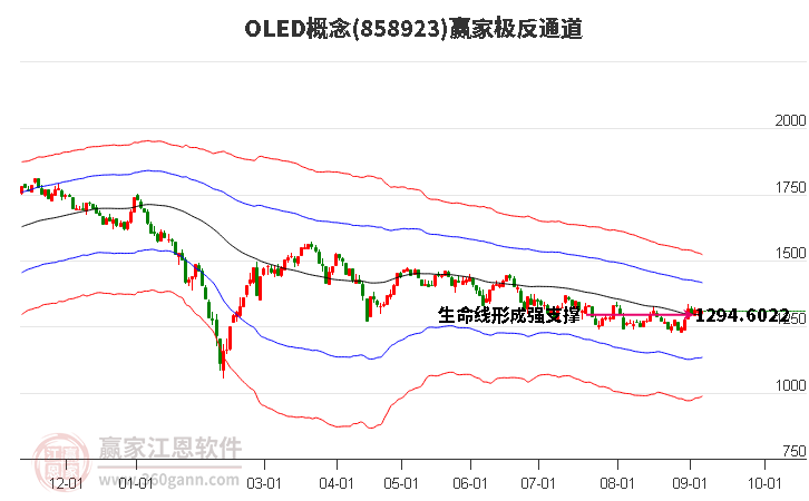 858923OLED赢家极反通道工具