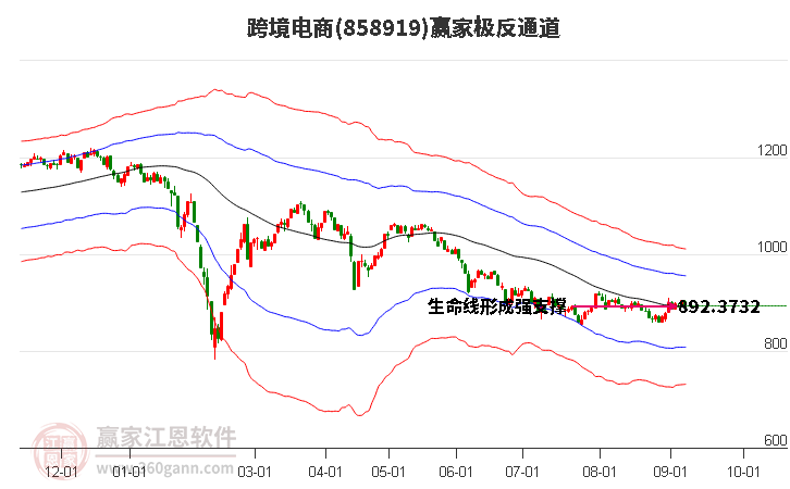 858919跨境电商赢家极反通道工具