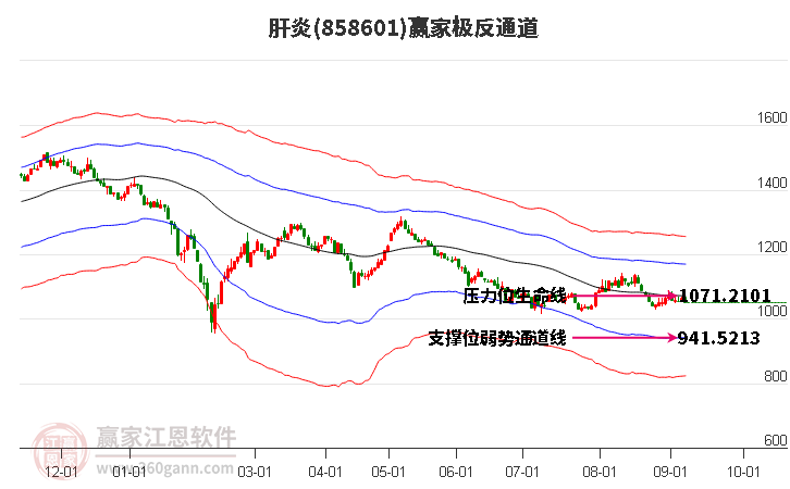 858601肝炎赢家极反通道工具