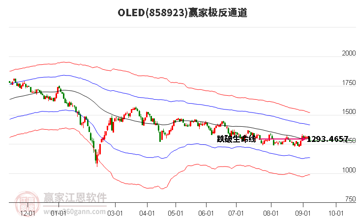 858923OLED赢家极反通道工具