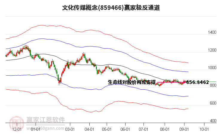 859466文化传媒赢家极反通道工具