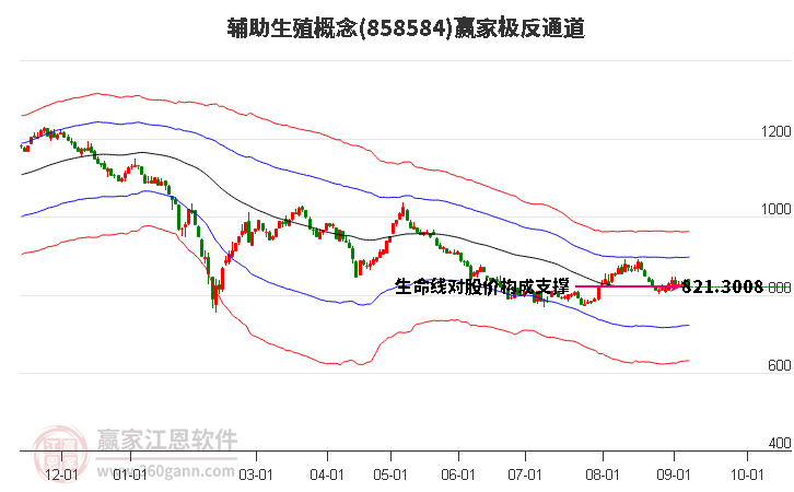 858584辅助生殖赢家极反通道工具