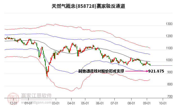 858728天然气赢家极反通道工具