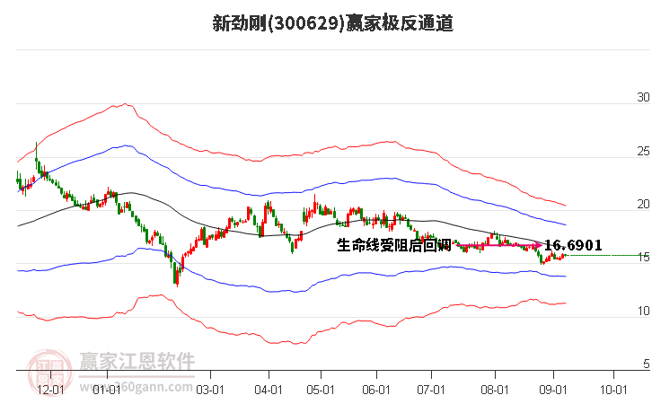 300629新劲刚赢家极反通道工具