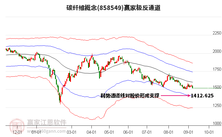 858549碳纤维赢家极反通道工具