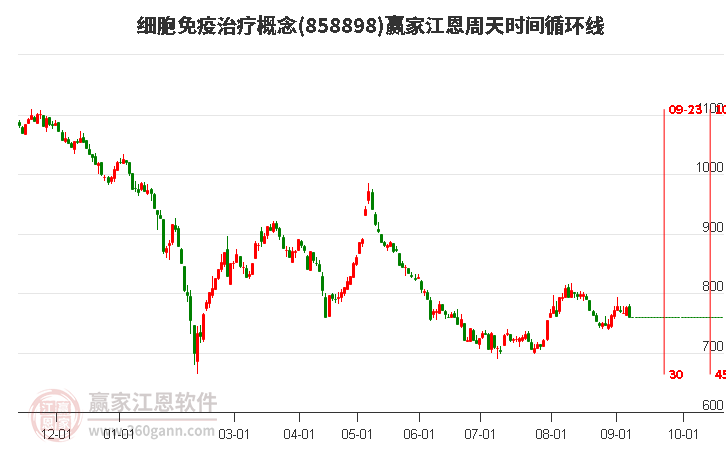 细胞免疫治疗概念赢家江恩周天时间循环线工具