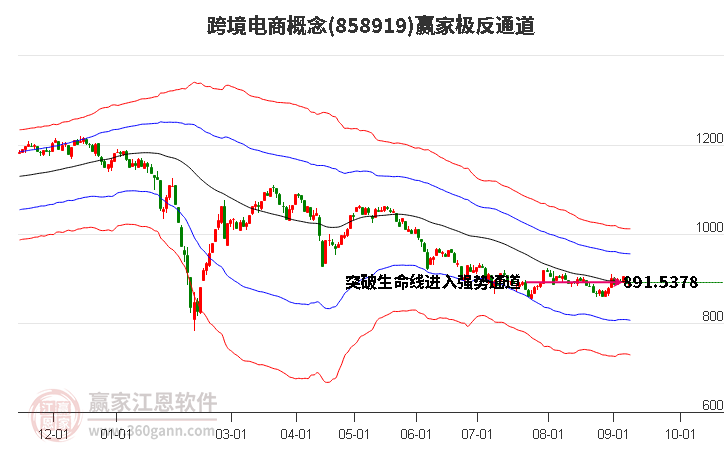 858919跨境电商赢家极反通道工具