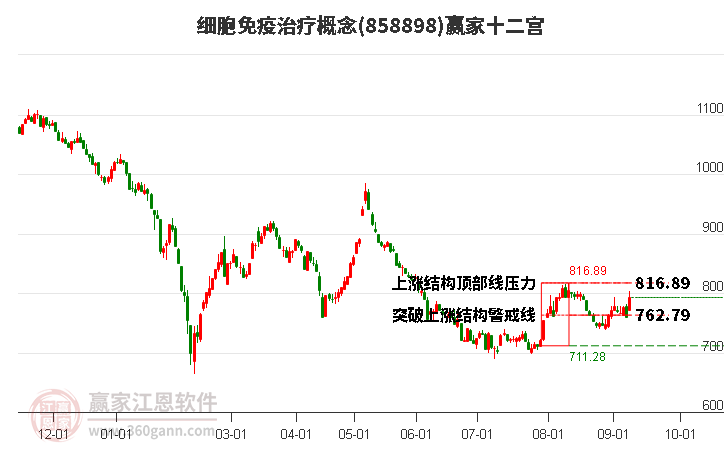 858898细胞免疫治疗赢家十二宫工具