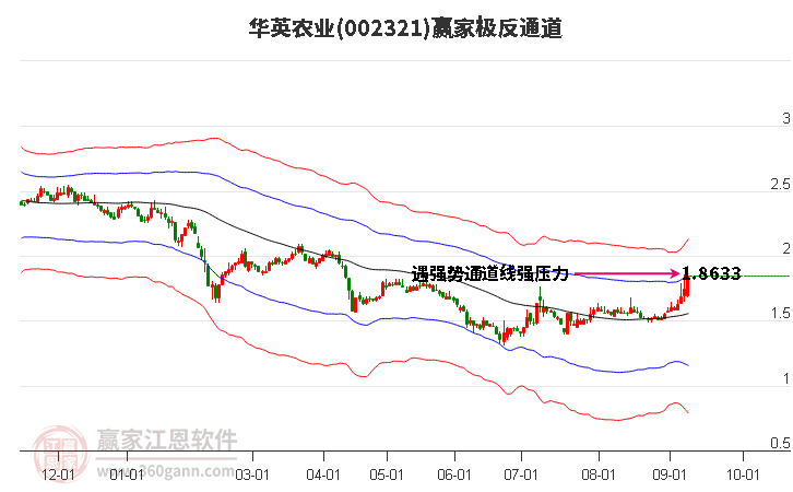 002321华英农业赢家极反通道工具