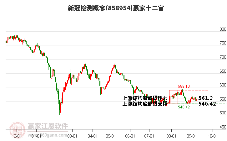 858954新冠检测赢家十二宫工具