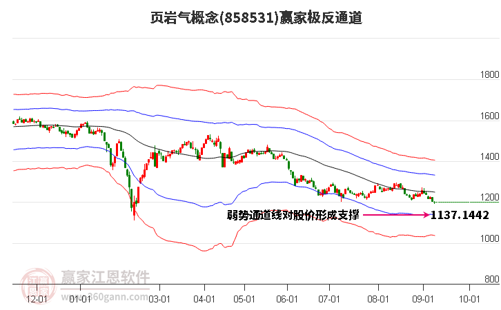 858531页岩气赢家极反通道工具