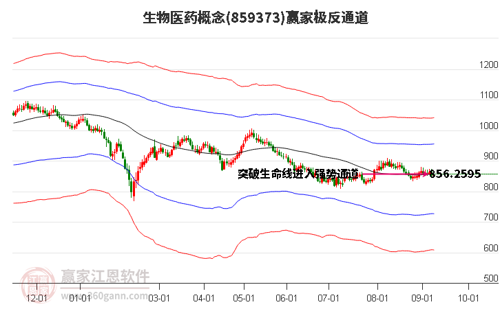 859373生物医药赢家极反通道工具