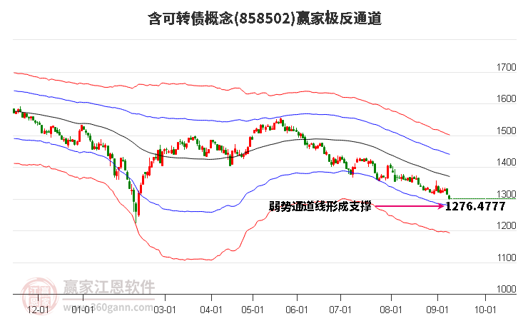 858502含可转债赢家极反通道工具