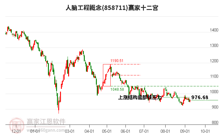 858711人脑工程赢家十二宫工具