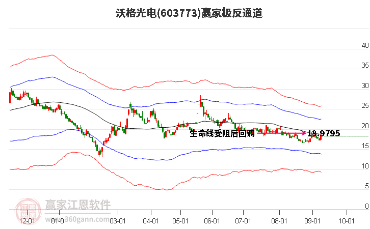 603773沃格光电赢家极反通道工具