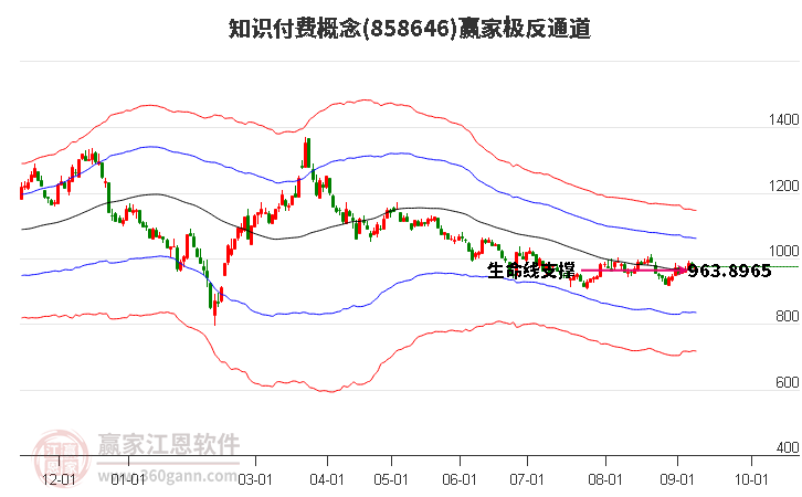 858646知识付费赢家极反通道工具