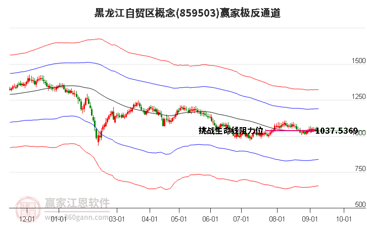 859503黑龙江自贸区赢家极反通道工具