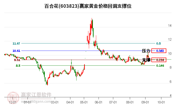 603823百合花黄金价格回调支撑位工具