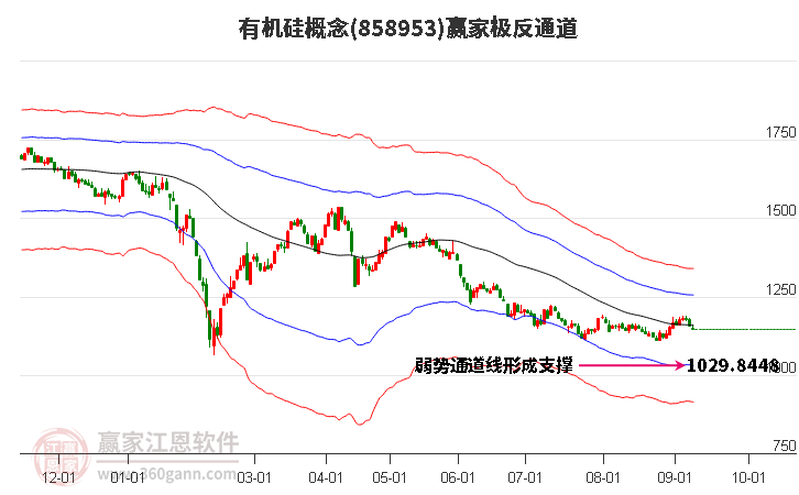 858953有机硅赢家极反通道工具