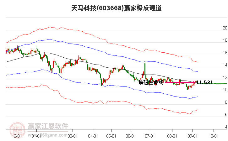 603668天马科技赢家极反通道工具