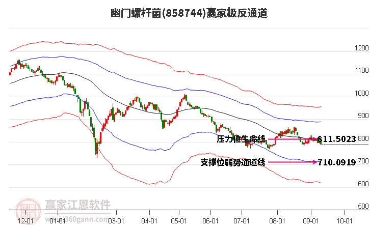 858744幽门螺杆菌赢家极反通道工具