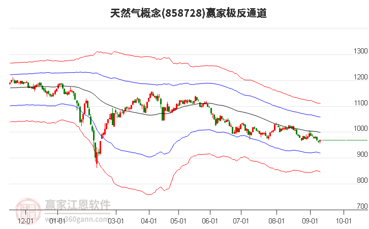 858728天然气赢家极反通道工具